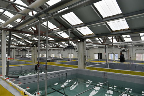 工廠化育苗助力水產養殖業高質量發展